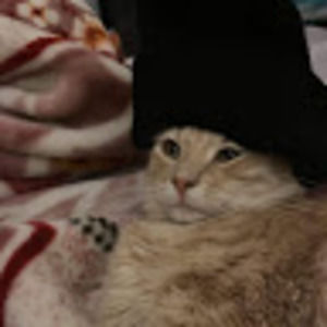 Meet your Posher, The jolly rancher